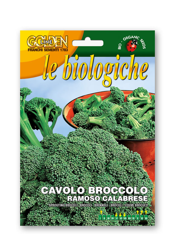 Broccoli Ramoso Calbrese