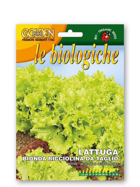 Organic Lettuce Bionda Ricciolina Da Taglio