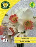 Daffodil 'Pink Pride' - Irish Grown -