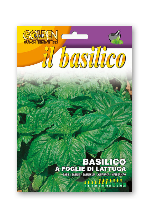 Basil Lettuce Leaf