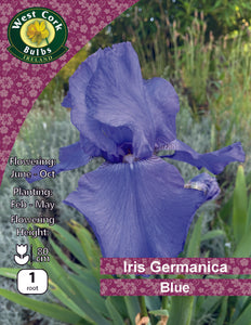 Iris Germanica Blue