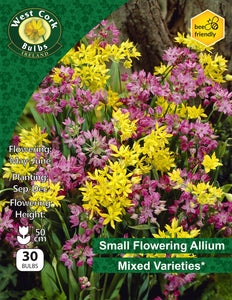 Allium Mixed - Green's of Ireland Online Garden Shop. Allium, West Cork Bulbs, Daffodil Bulbs, Tulip Bulbs, Crocus Bulbs, Autumn Bulbs, Bulbs, Cheap Bulbs