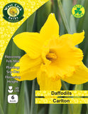 Yellow Daffodils Carlton - Green's of Ireland Online Garden Shop. Flower Bulbs, West Cork Bulbs, Daffodil Bulbs, Tulip Bulbs, Crocus Bulbs, Autumn Bulbs, Bulbs, Cheap Bulbs