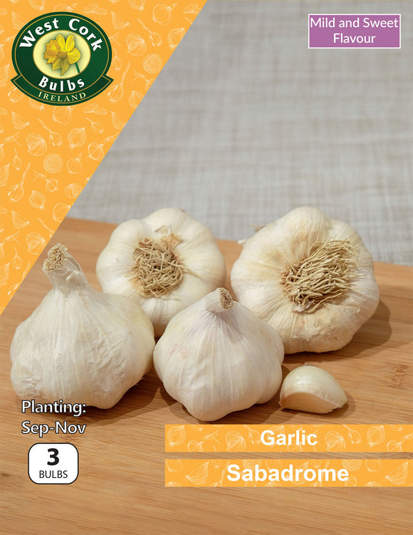 Garlic<p> Sabadrome</p> - Green's of Ireland Online Garden Shop.  Garlic and Onions, West Cork Bulbs, Daffodil Bulbs, Tulip Bulbs, Crocus Bulbs, Autumn Bulbs, Bulbs, Cheap Bulbs