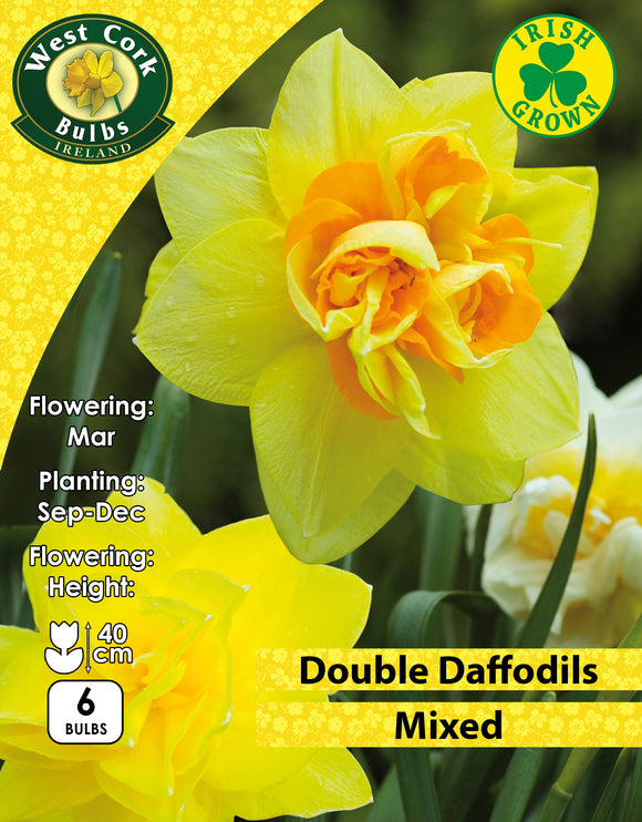 DaffodilsMixed Double - Green's of Ireland Online Garden Shop. Flower Bulbs, West Cork Bulbs, Daffodil Bulbs, Tulip Bulbs, Crocus Bulbs, Autumn Bulbs, Bulbs, Cheap Bulbs