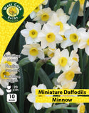 Miniature Daffodils Minnow - Green's of Ireland Online Garden Shop. Flower Bulbs, West Cork Bulbs, Daffodil Bulbs, Tulip Bulbs, Crocus Bulbs, Autumn Bulbs, Bulbs, Cheap Bulbs