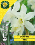 Daffodils Thalia - Green's of Ireland Online Garden Shop. Flower Bulbs, West Cork Bulbs, Daffodil Bulbs, Tulip Bulbs, Crocus Bulbs, Autumn Bulbs, Bulbs, Cheap Bulbs