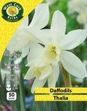 Daffodils Thalia - Green's of Ireland Online Garden Shop. Flower Bulbs, West Cork Bulbs, Daffodil Bulbs, Tulip Bulbs, Crocus Bulbs, Autumn Bulbs, Bulbs, Cheap Bulbs